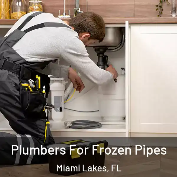  Plumbers For Frozen Pipes Miami Lakes, FL
